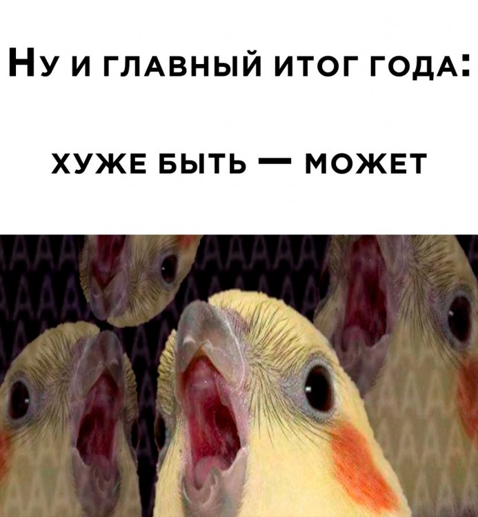 0.5.thumb.jpg.5190f228993c068cee9565a869fea8b2.jpg