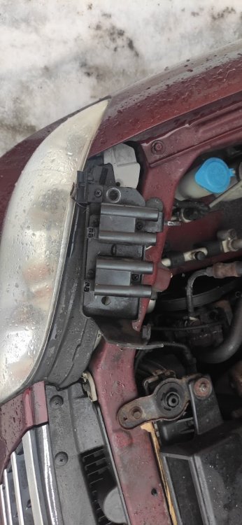 5.thumb.jpg.e903d758ae270191ab1d104668ec27af.jpg