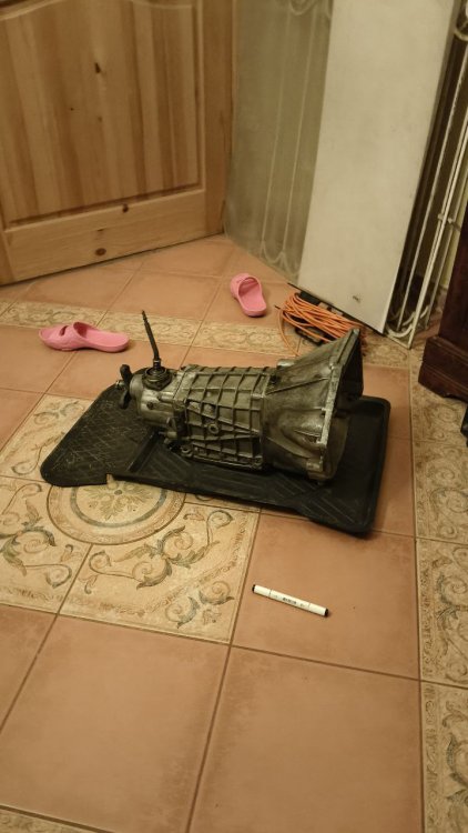 1.thumb.jpg.f11e9ff46bd756a0e86176fc8bdce5da.jpg