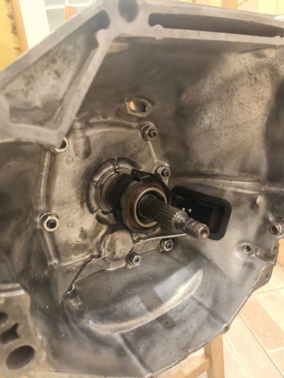 18.thumb.jpg.12c0ae8895787cf36fe4aab45f71b3e6.jpg