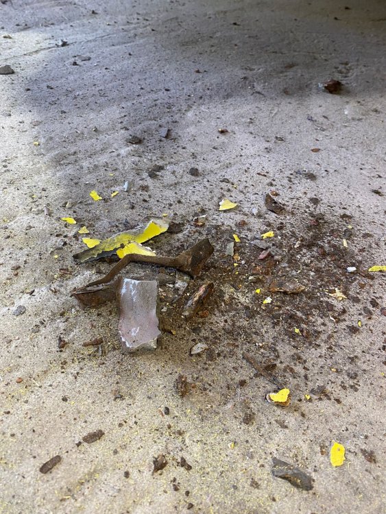 g2Bvv9NdRWRHRt1Jx7dYaGZy0HDjyPe_sE18s0UZILlFGE5j7ComD_kS4_4S2R7vqSW92G0OhcmXjlRt2rAVsN4f (1).jpg